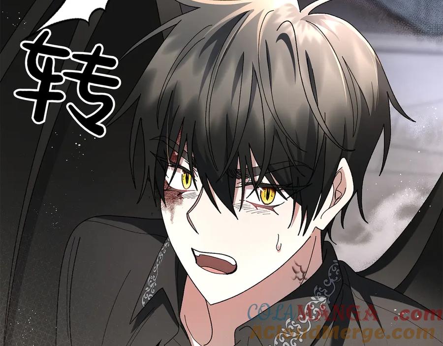 第217页