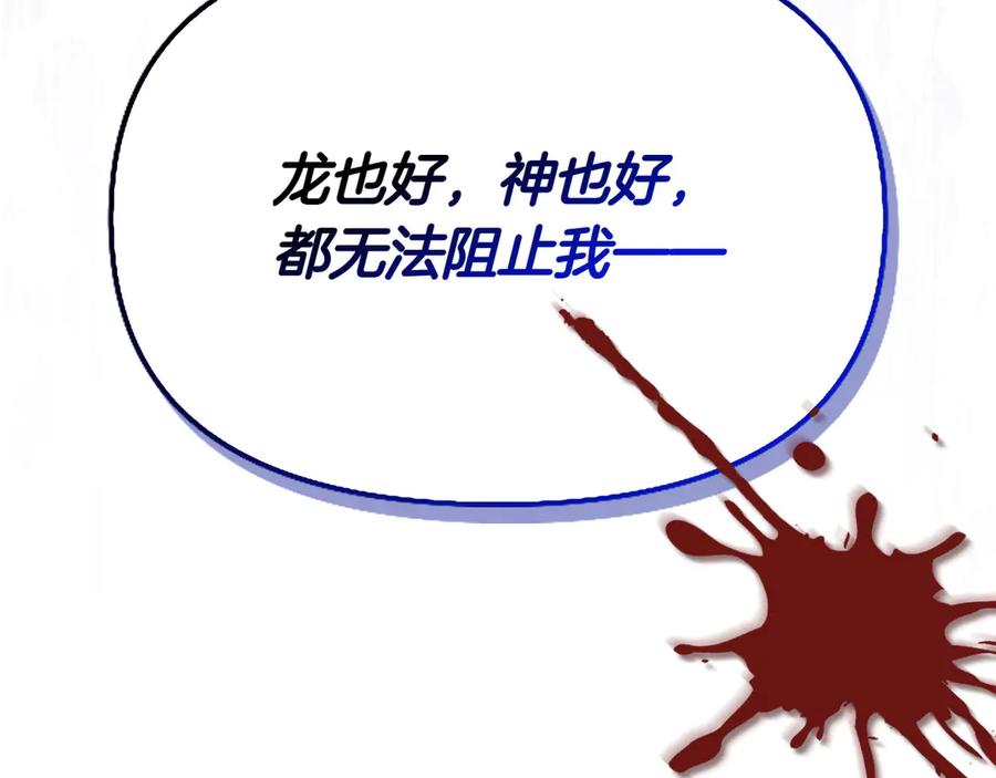 第223页