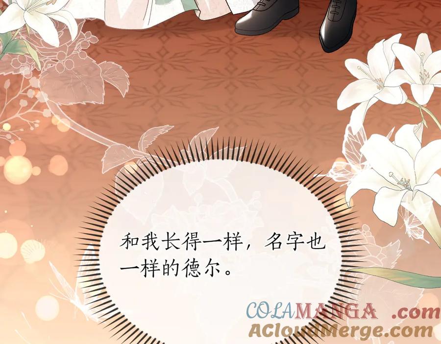 第205页