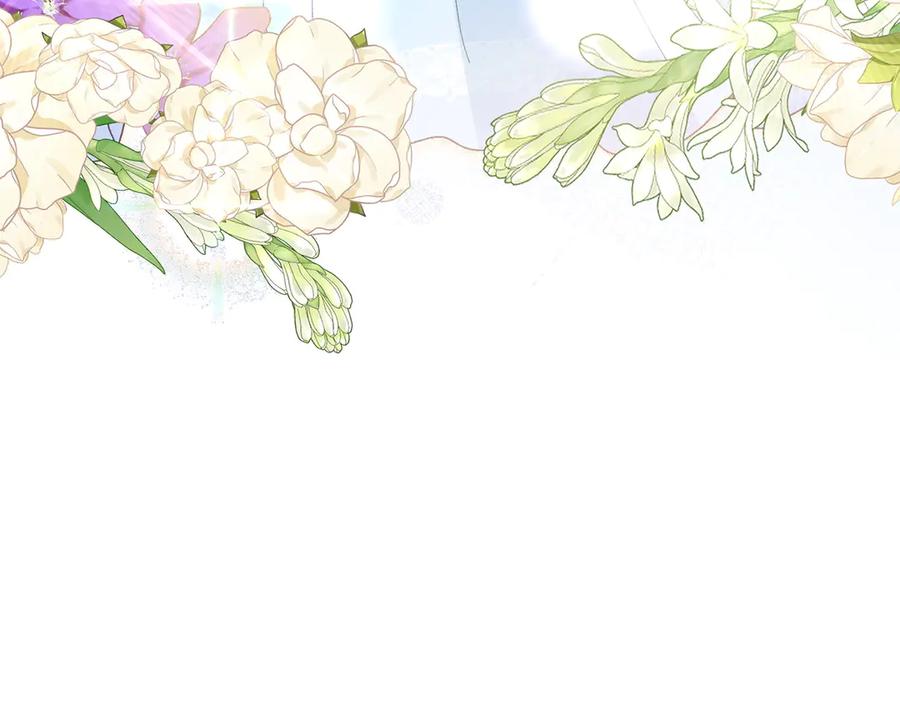 第242页