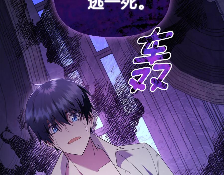 第204页