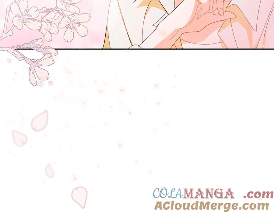 第205页