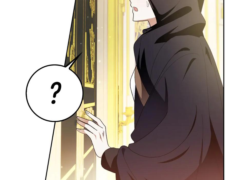 第223页