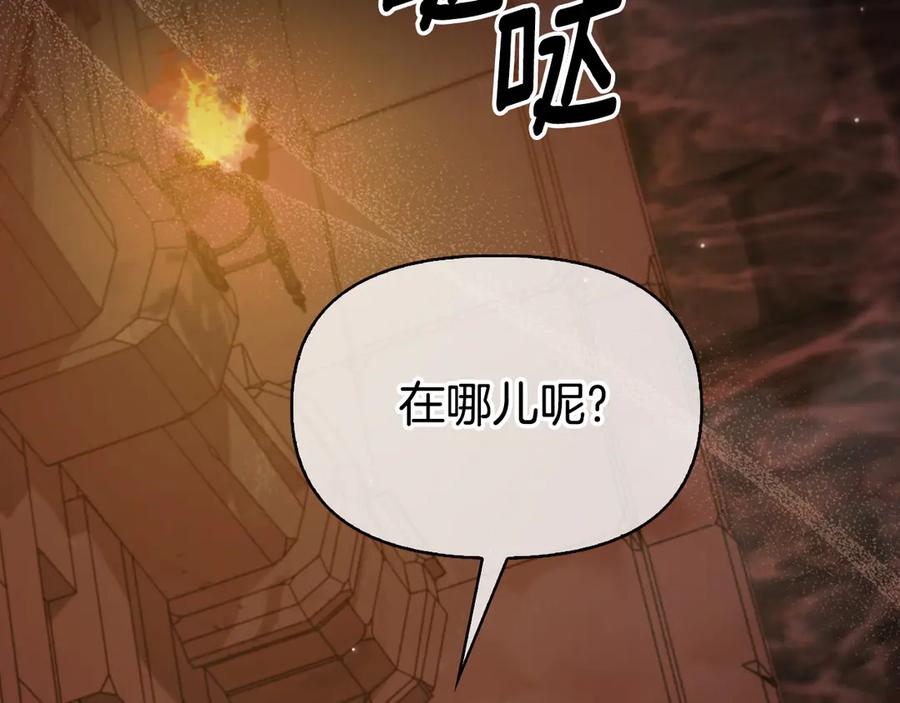 第223页