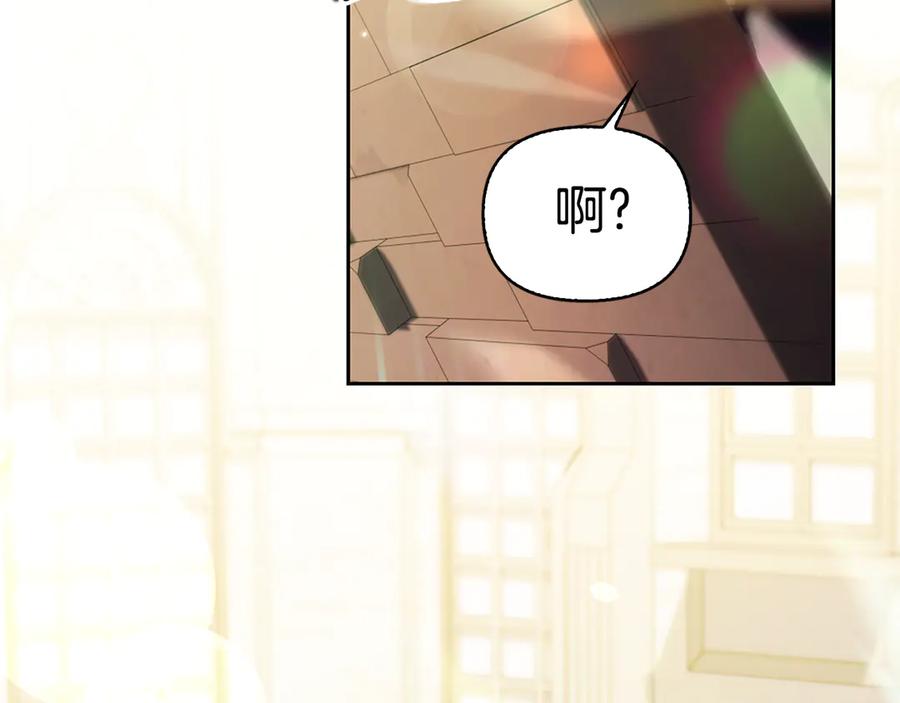 第231页