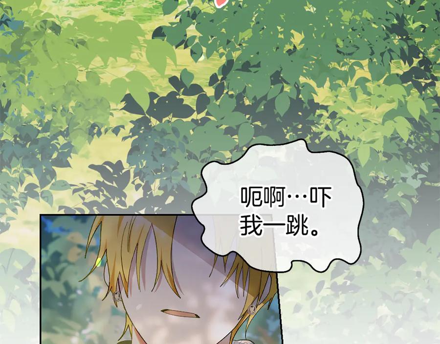 第234页