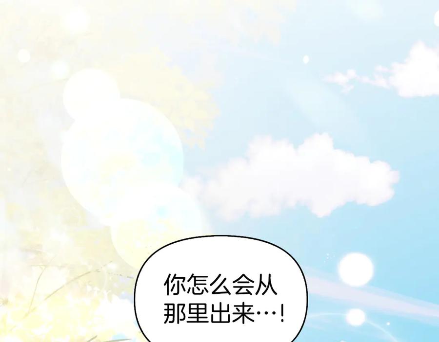 第240页