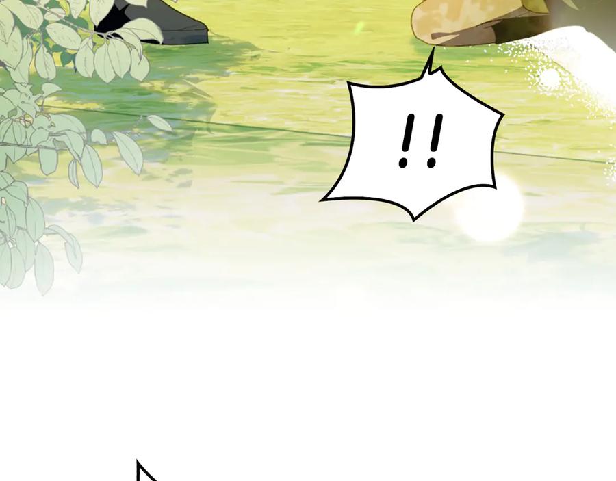 第243页
