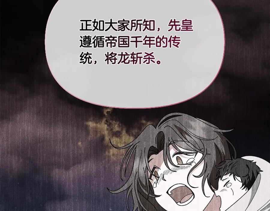 第235页