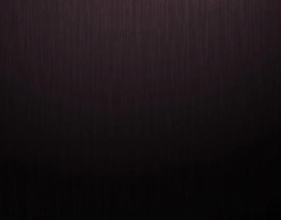第256页