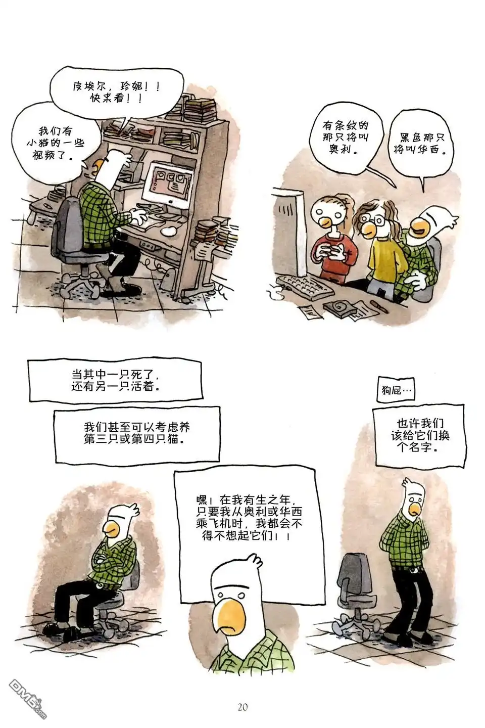 第20页