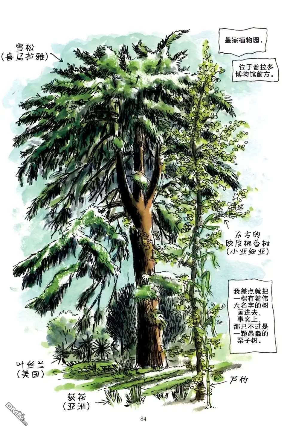 第84页