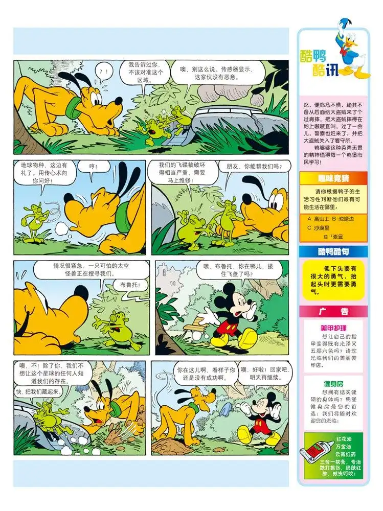 第4页