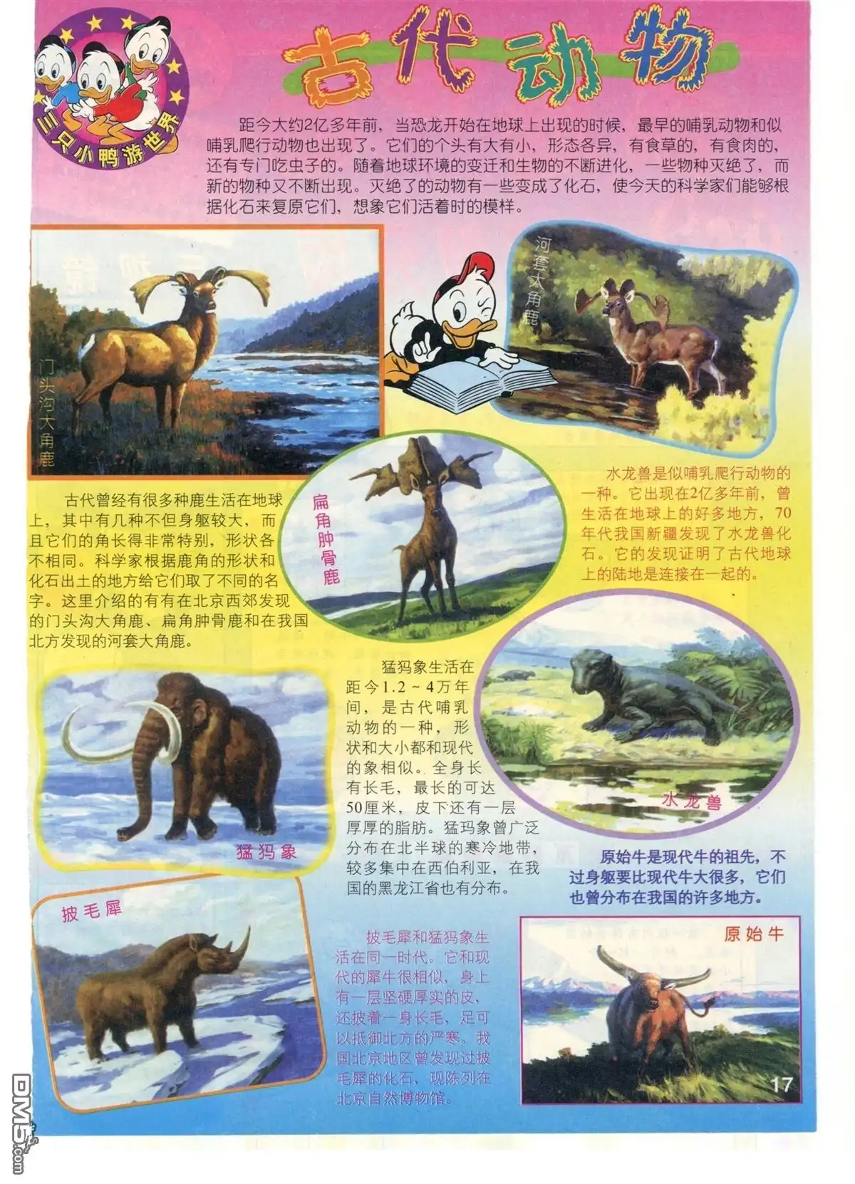第19页