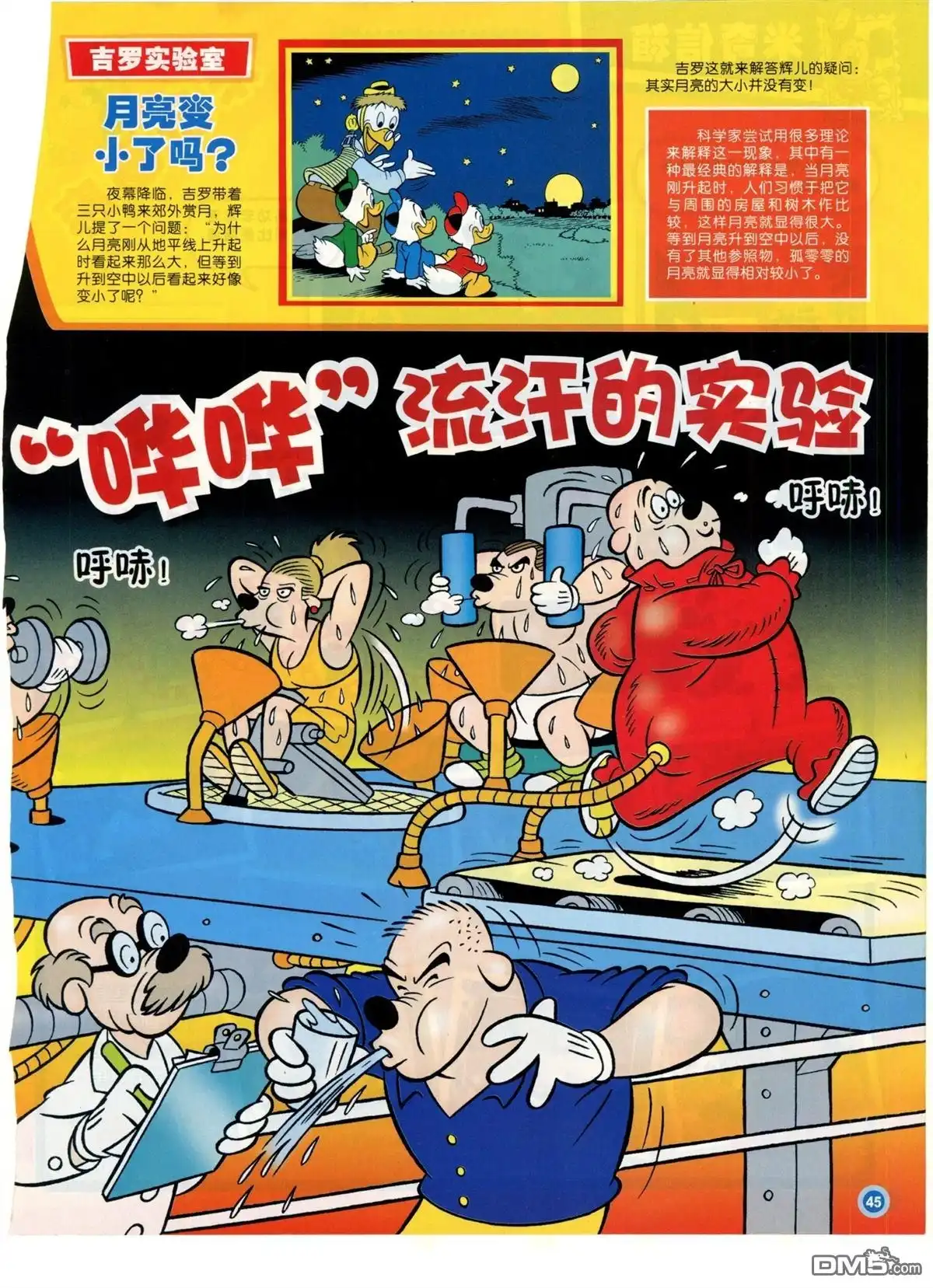 第47页