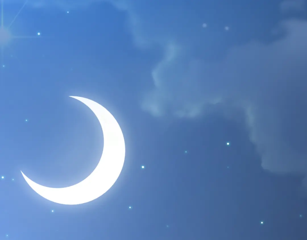 第183页