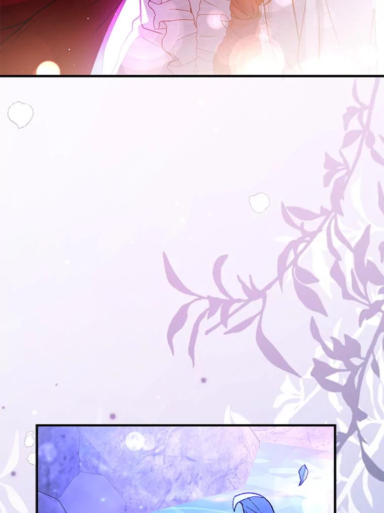 第224页