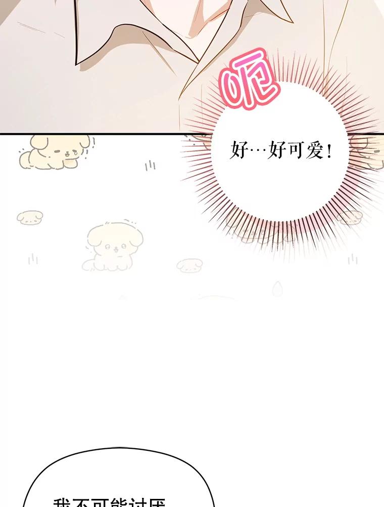第206页