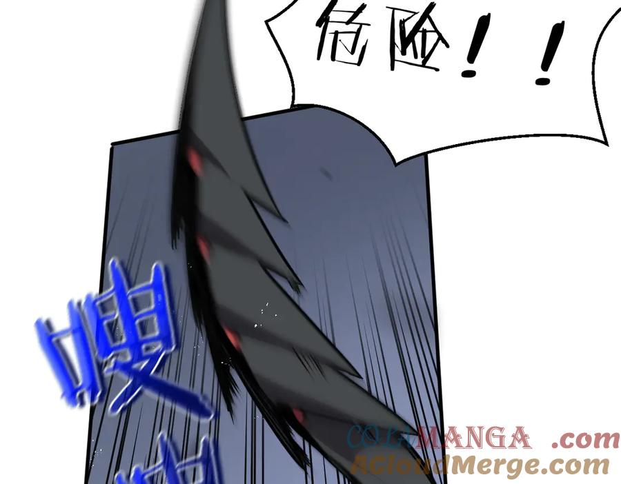 第185页