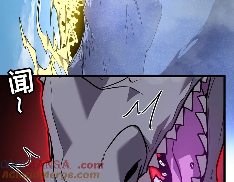 第205页
