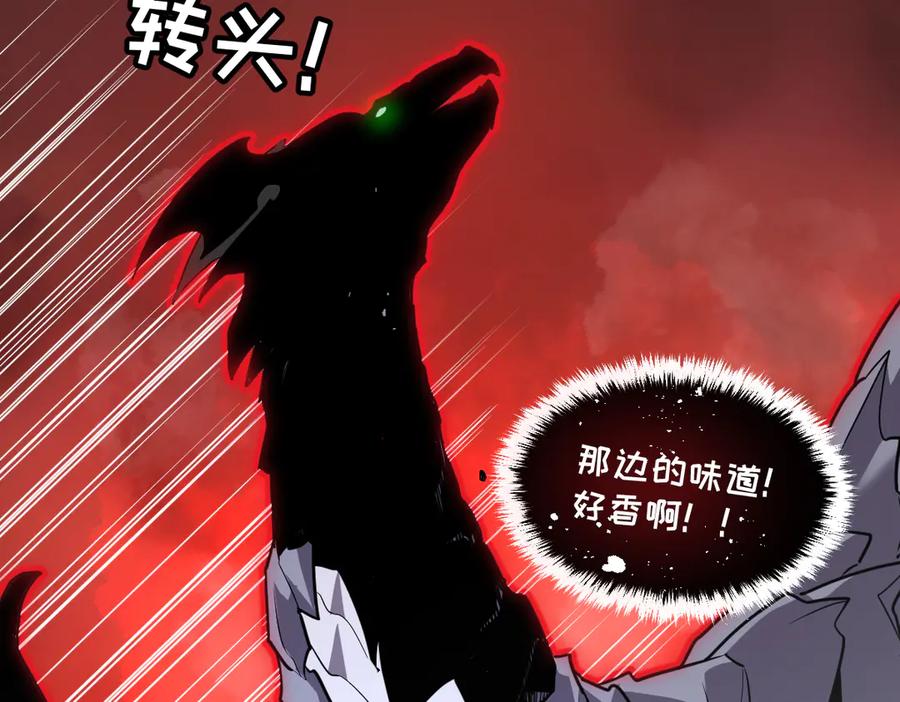 第207页
