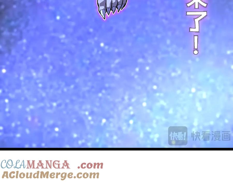 第233页