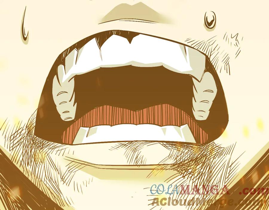 第245页