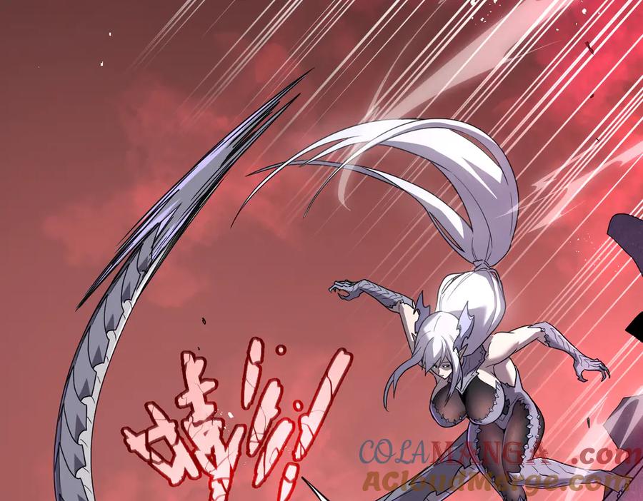 第217页