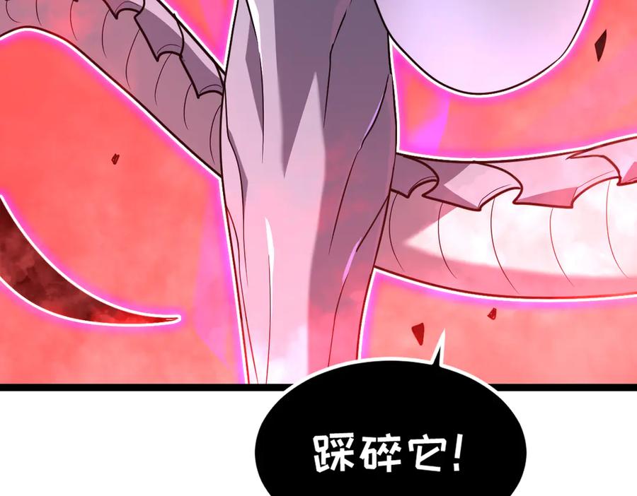 第244页