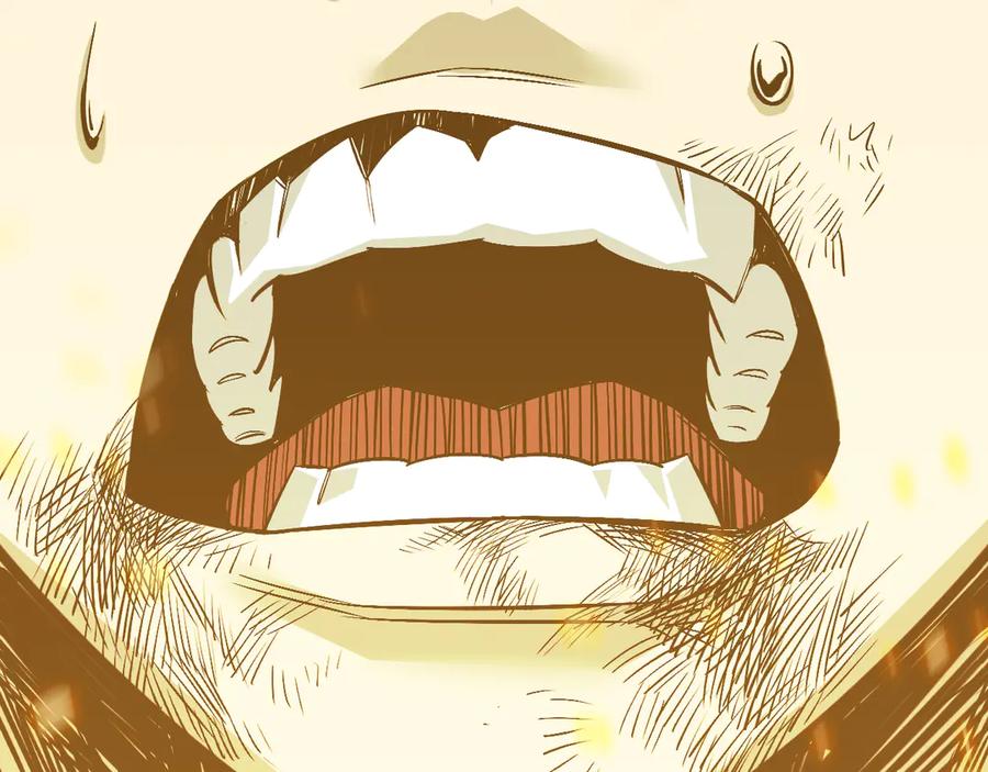 第256页