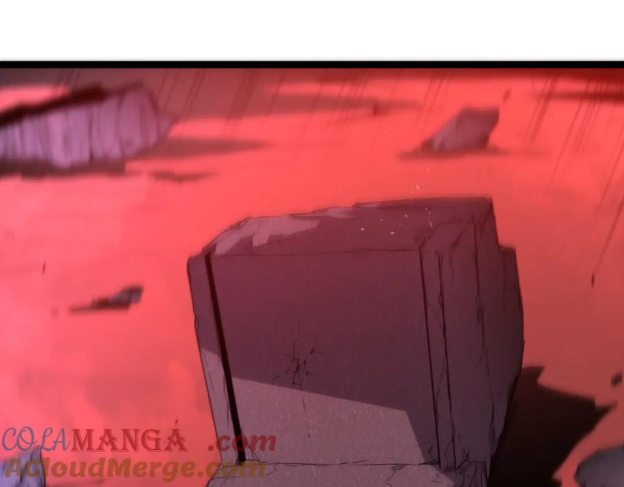第229页