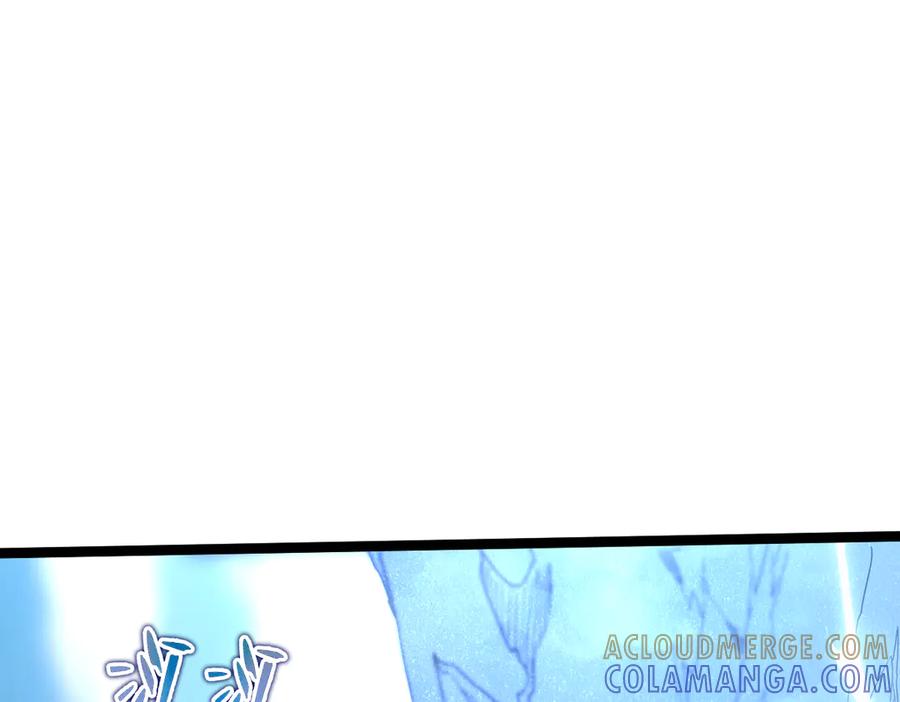 第229页