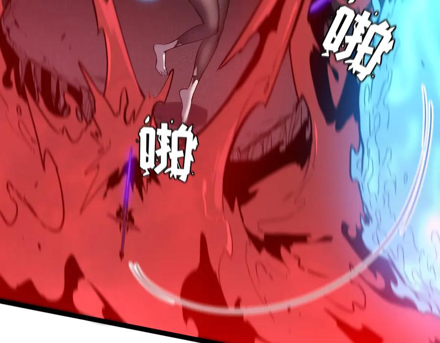 第242页