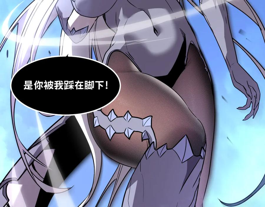 第276页