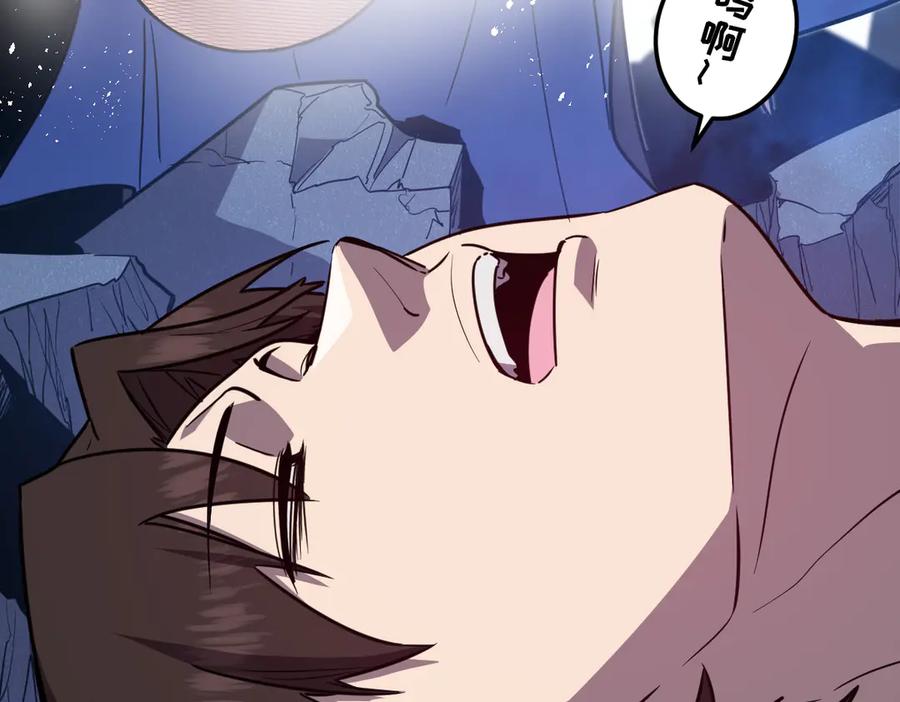 第204页