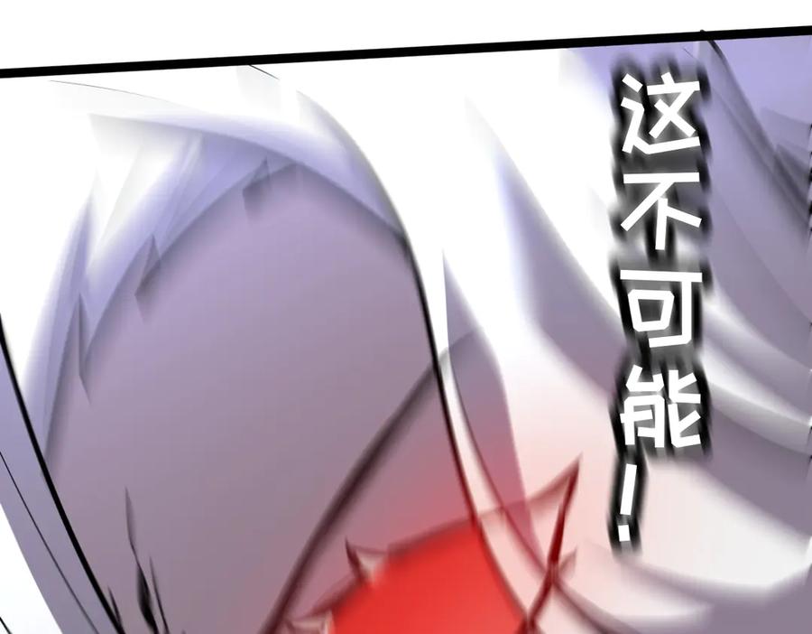 第223页