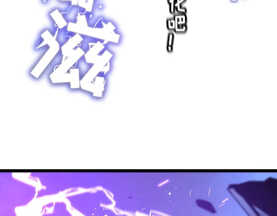 第231页