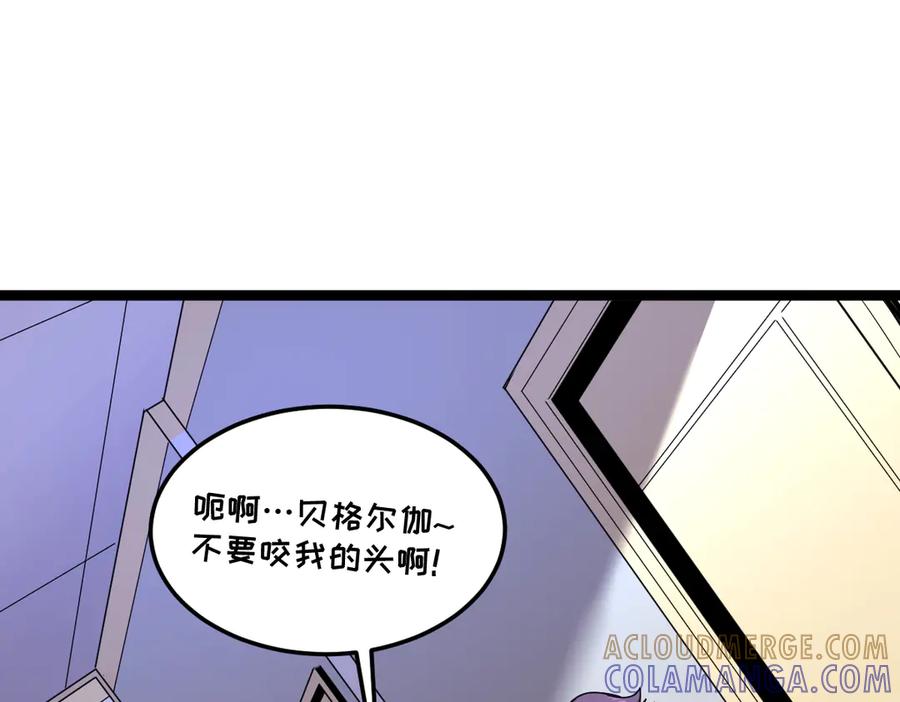 第217页