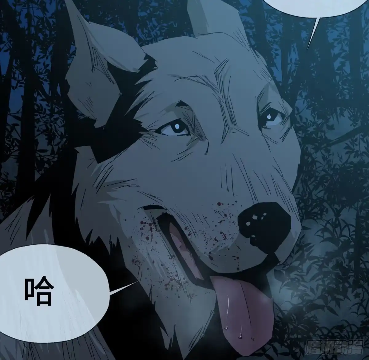 第43页