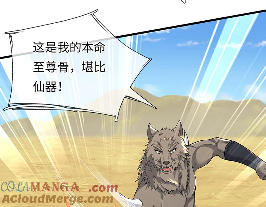 第145页