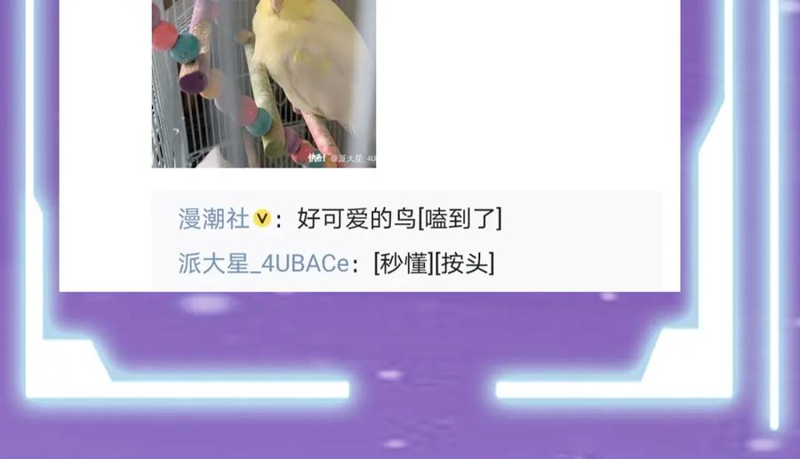 第204页