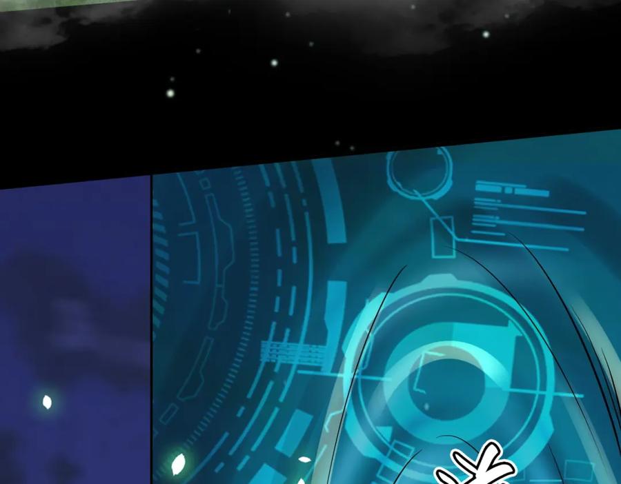 第204页