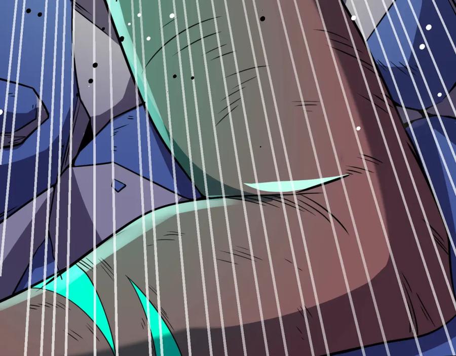 第224页