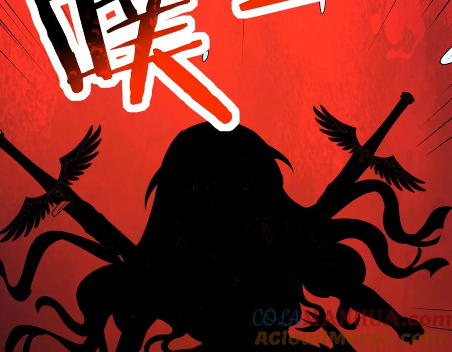 第204页