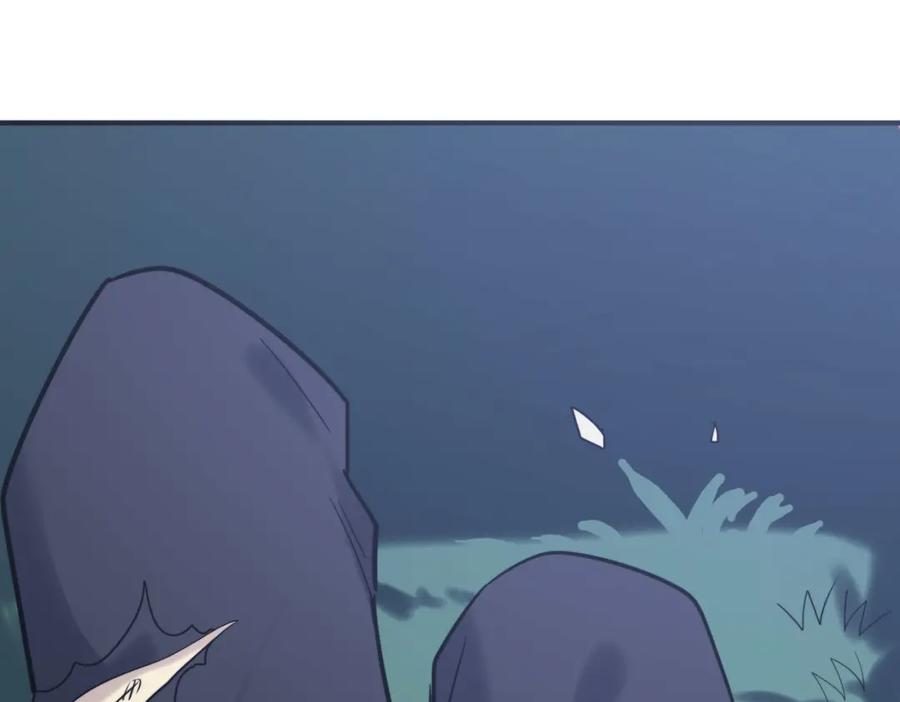 第215页