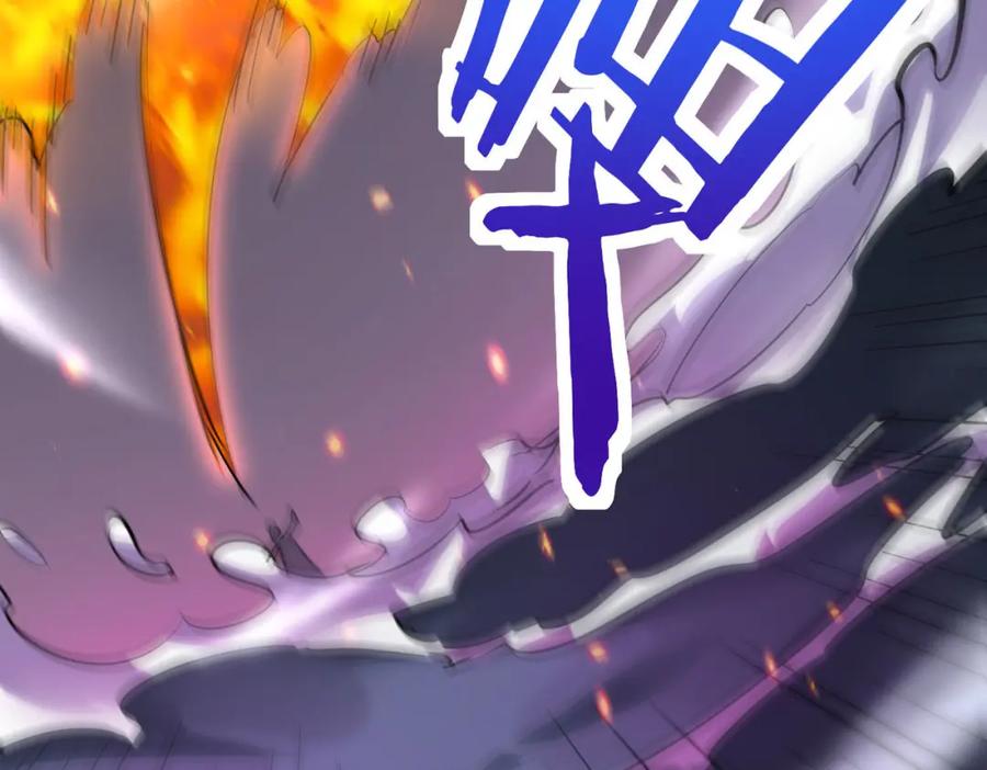 第215页