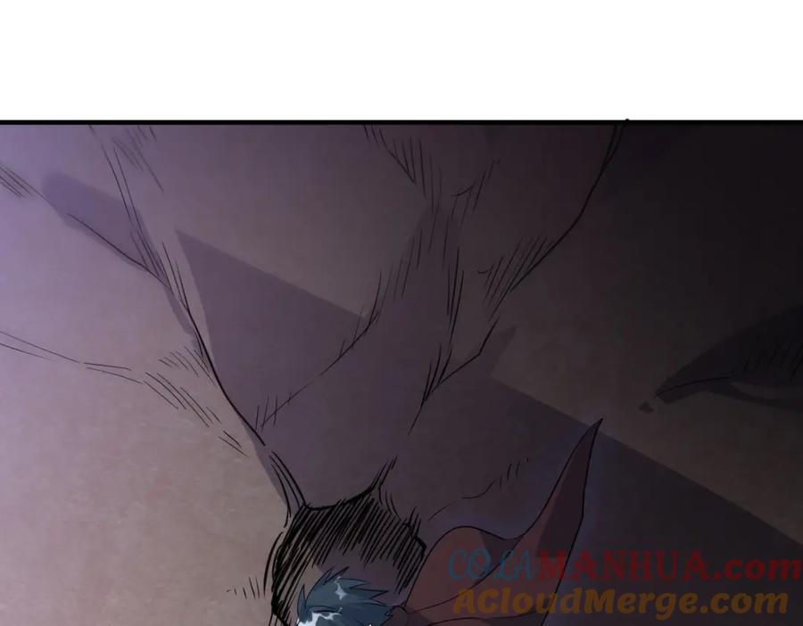 第205页