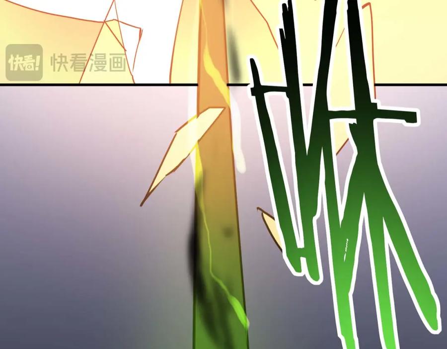 第224页