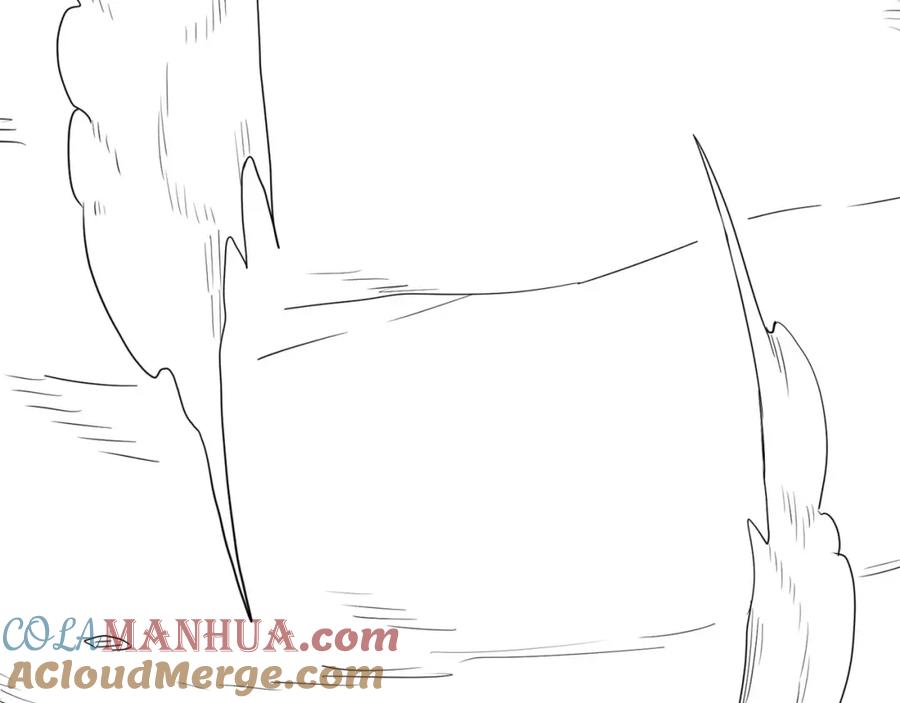 第205页