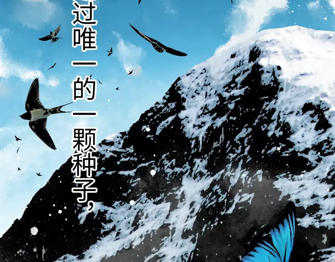 第213页